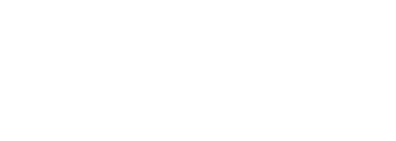 Telcom Voice Logo